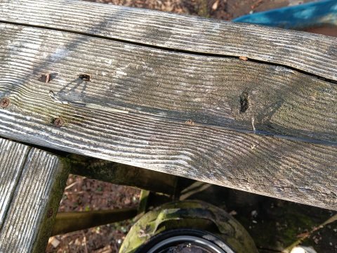 Shakespeare Ugly Stik GX2 Spinning Reel and 5'6" Fishing Rod Combo 6